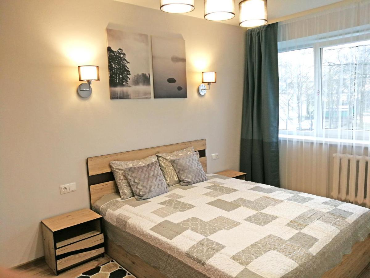Siauliai Central Apartment @ Traku Street エクステリア 写真